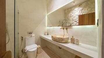 A modern bathroom with a stone sink, a toilet, and a shower area.