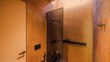 Shower, hair dryer, shampoo