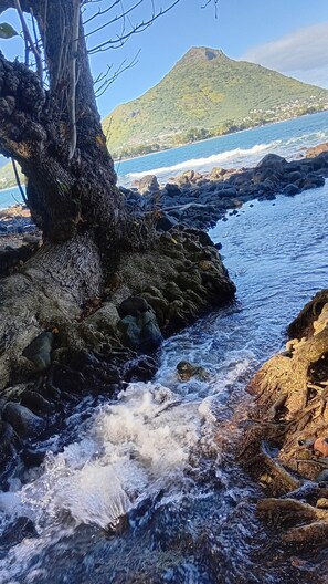 A rocky shoreline with waves crashing against the rocks, a tree trunk, and a mountain in the background. - Charming 2-bedroom apartment with AC in quaint Flic en Flac..200m to the beach (Flic en Flac)