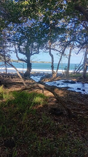 Eine Küstenlandschaft mit Bäumen, einer felsigen Küstenlinie und Blick aufs Meer.