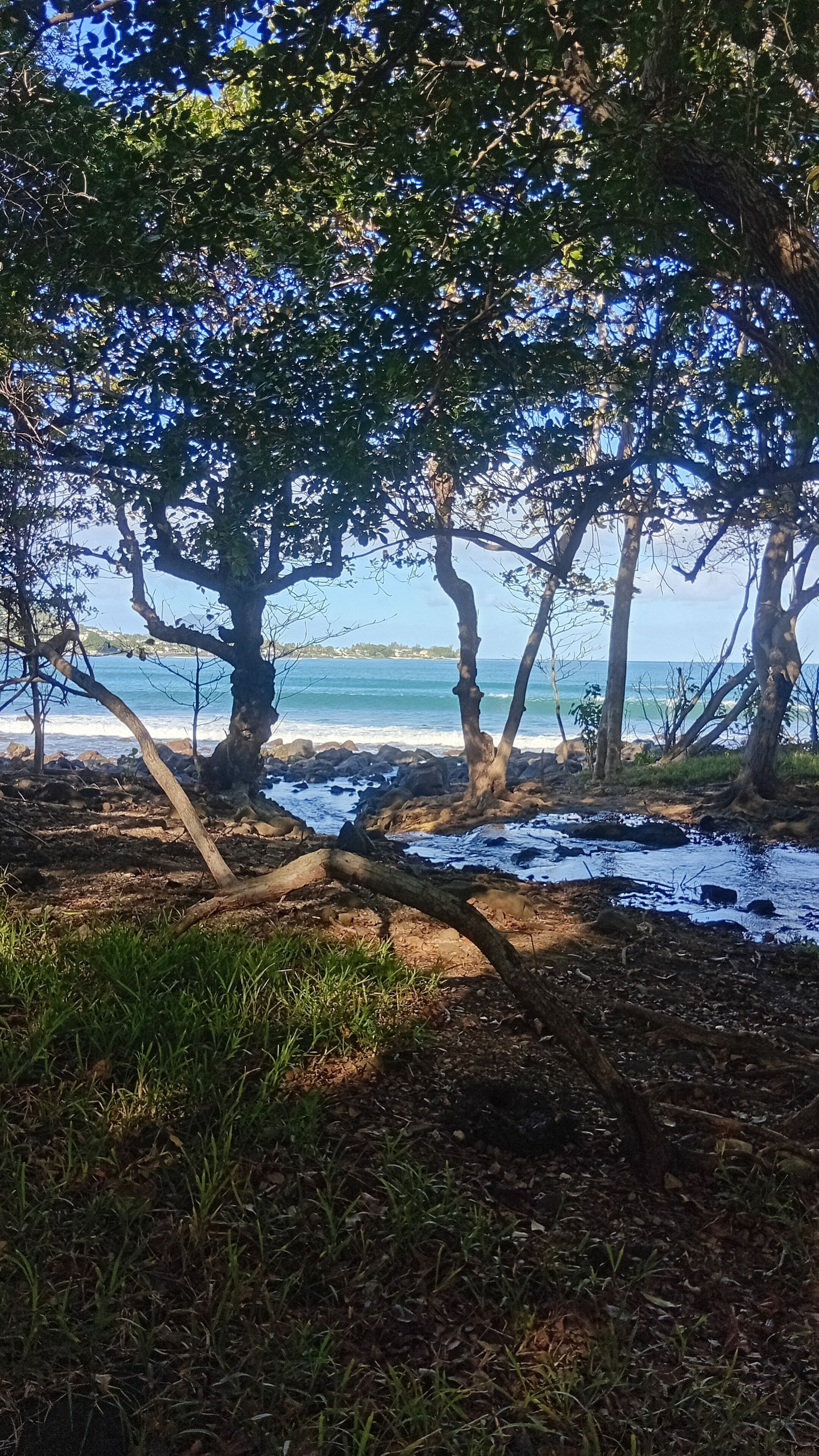 Strand