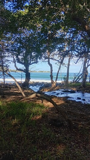 A coastal landscape with trees, a rocky shoreline, and a view of the sea. - Charming 2-bedroom apartment with AC in quaint Flic en Flac..200m to the beach (Flic en Flac)