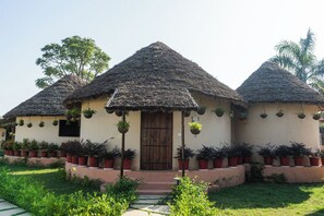Une maison traditionnelle avec un toit de chaume, une porte en bois et des plantes en pot disposées autour de l’entrée.