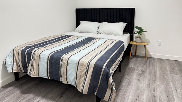 A bed with a striped bedspread, a bedside table with a plant, and a window with blinds.