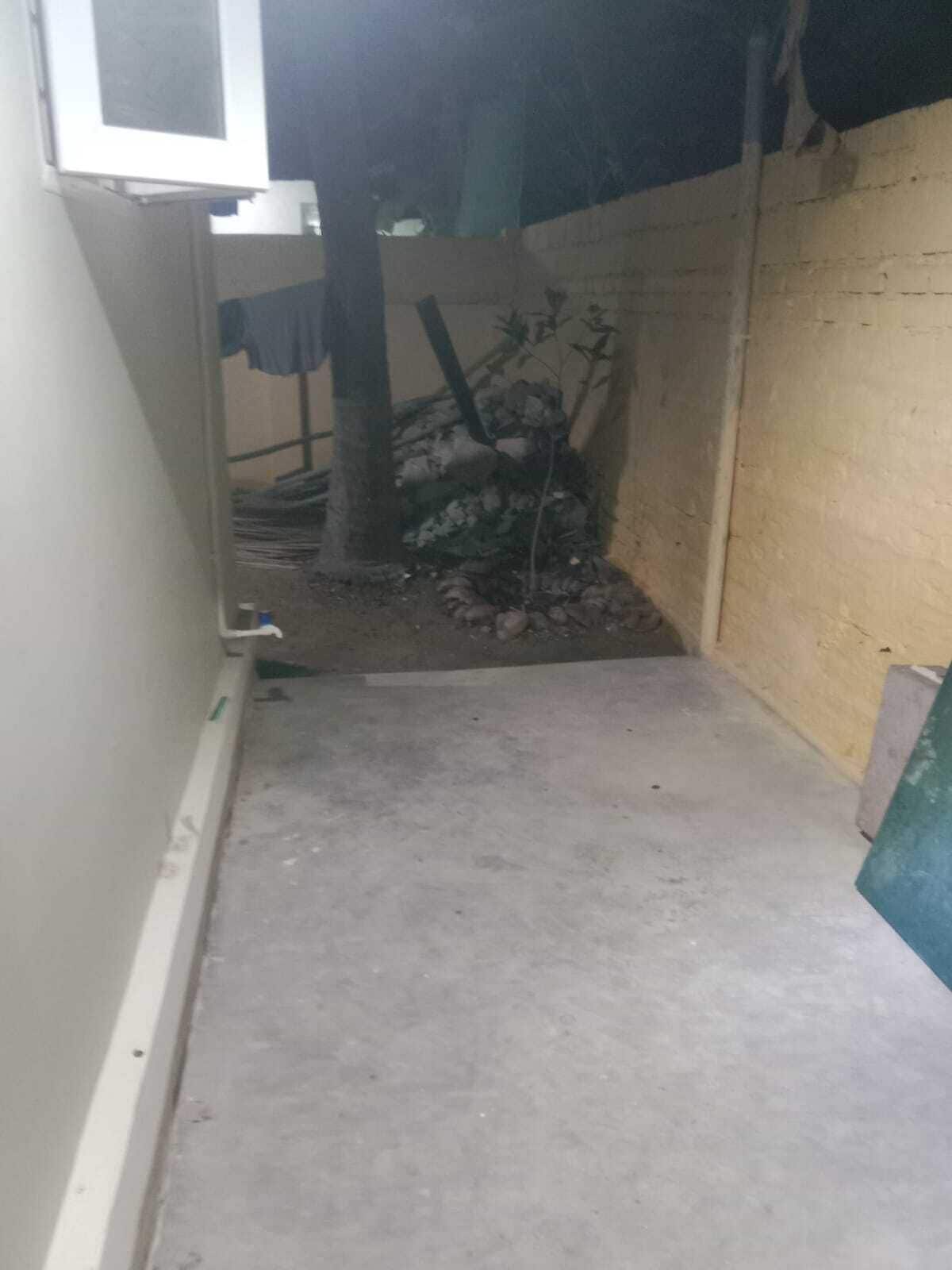 Ein schmaler Korridor mit Betonboden, einem Baum und einer Wand mit rauer Oberfläche.