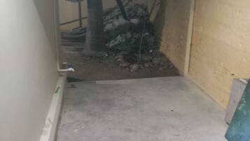 Ein schmaler Korridor mit Betonboden, einem Baum und einer Wand mit rauer Oberfläche.