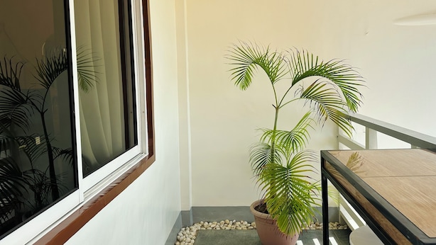 Ảnh chưa phân loại, 1 trong số 89 ảnh, nút