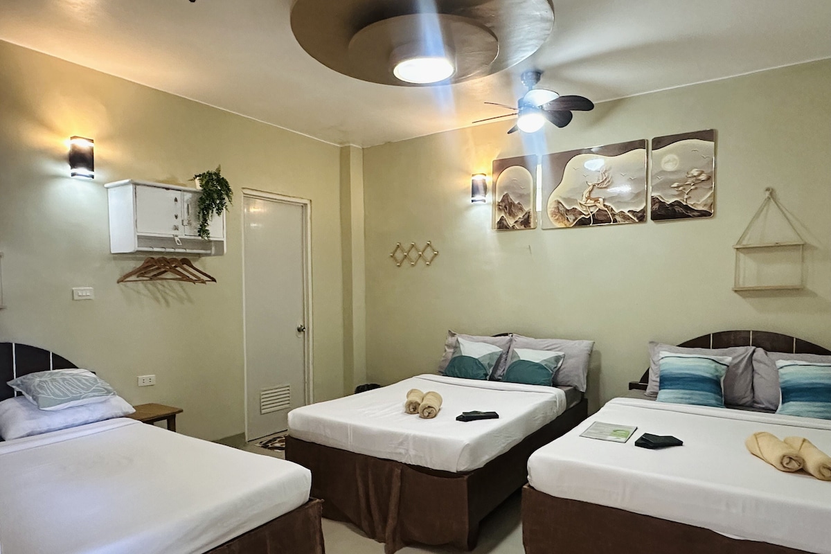 A hotel room with two single beds, a ceiling fan, wall-mounted lights, a door, and a small plant.