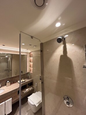 Een moderne badkamer met een douche met glazen wand, een wastafel met spiegel en een toilet.