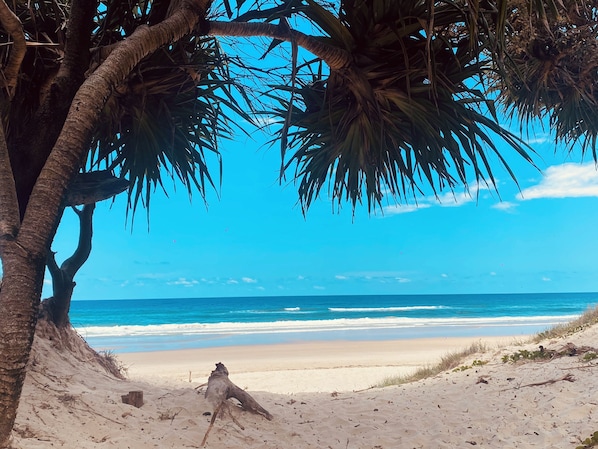 A beach scene with a clear sky, palm trees, and a sandy shore.
