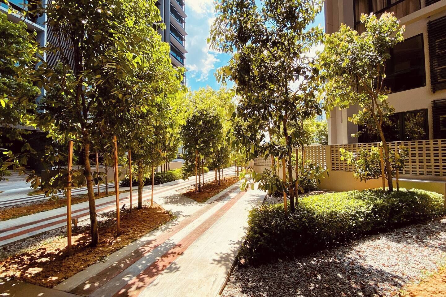 Un sendero arbolado con un pavimento estampado, flanqueado por edificios y una cerca.