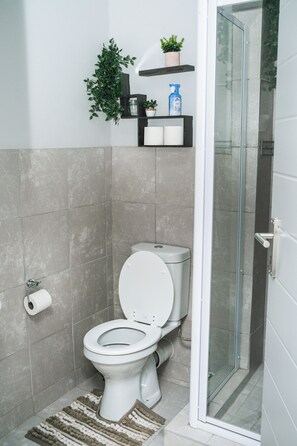 A bathroom with a toilet, a shower, and a glass door leading to a shower area. - Cozy 1-bedroom Apartment in Secure Estate, Tshwane (Centurion)
