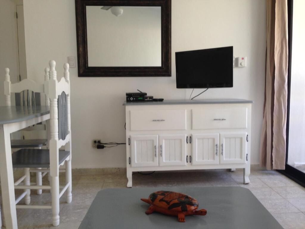Une pièce avec un meuble blanc, un téléviseur fixé au-dessus, une petite tortue sur un tapis et une chaise avec une table.