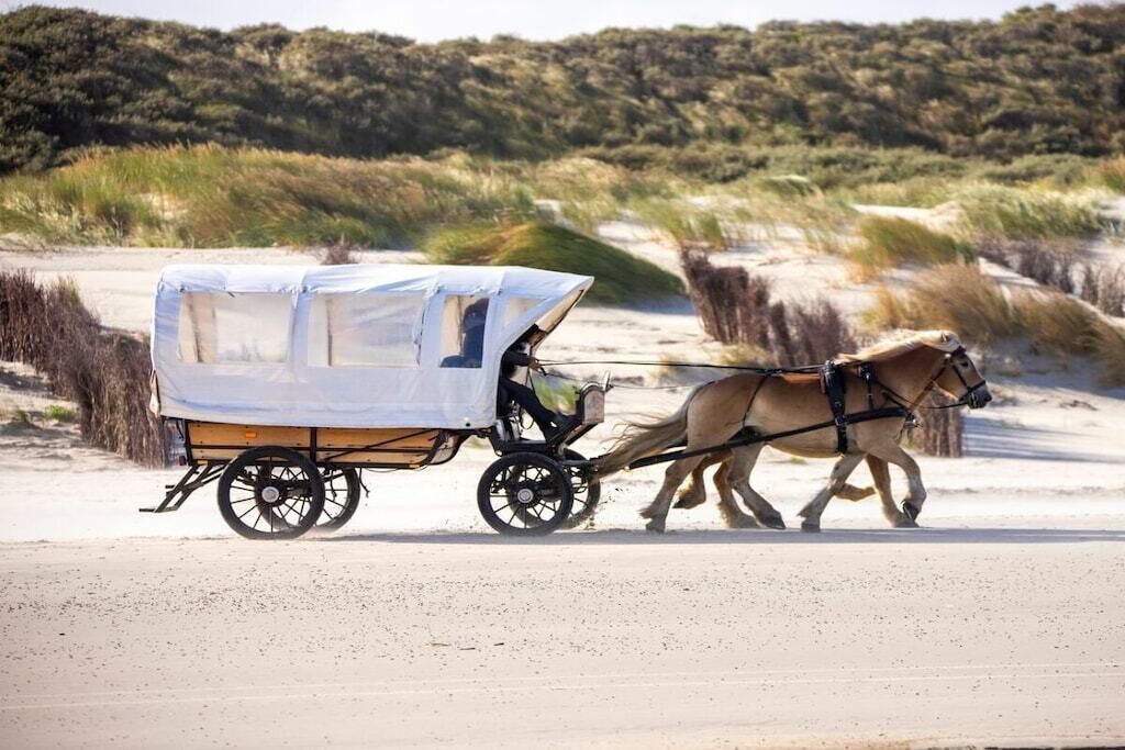 A horse-drawn carriage on a sandy path with vegetation in the background.
