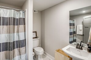 A bathroom with a shower curtain, toilet, sink, and mirror. - Hilltop Studio Hideaway Near Chattanooga (Middle Valley)