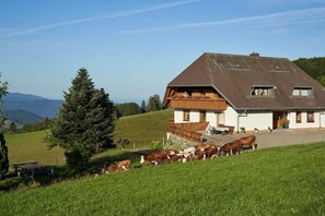 Exterior - Holiday apartment with 2 bedrooms (Münstertal)