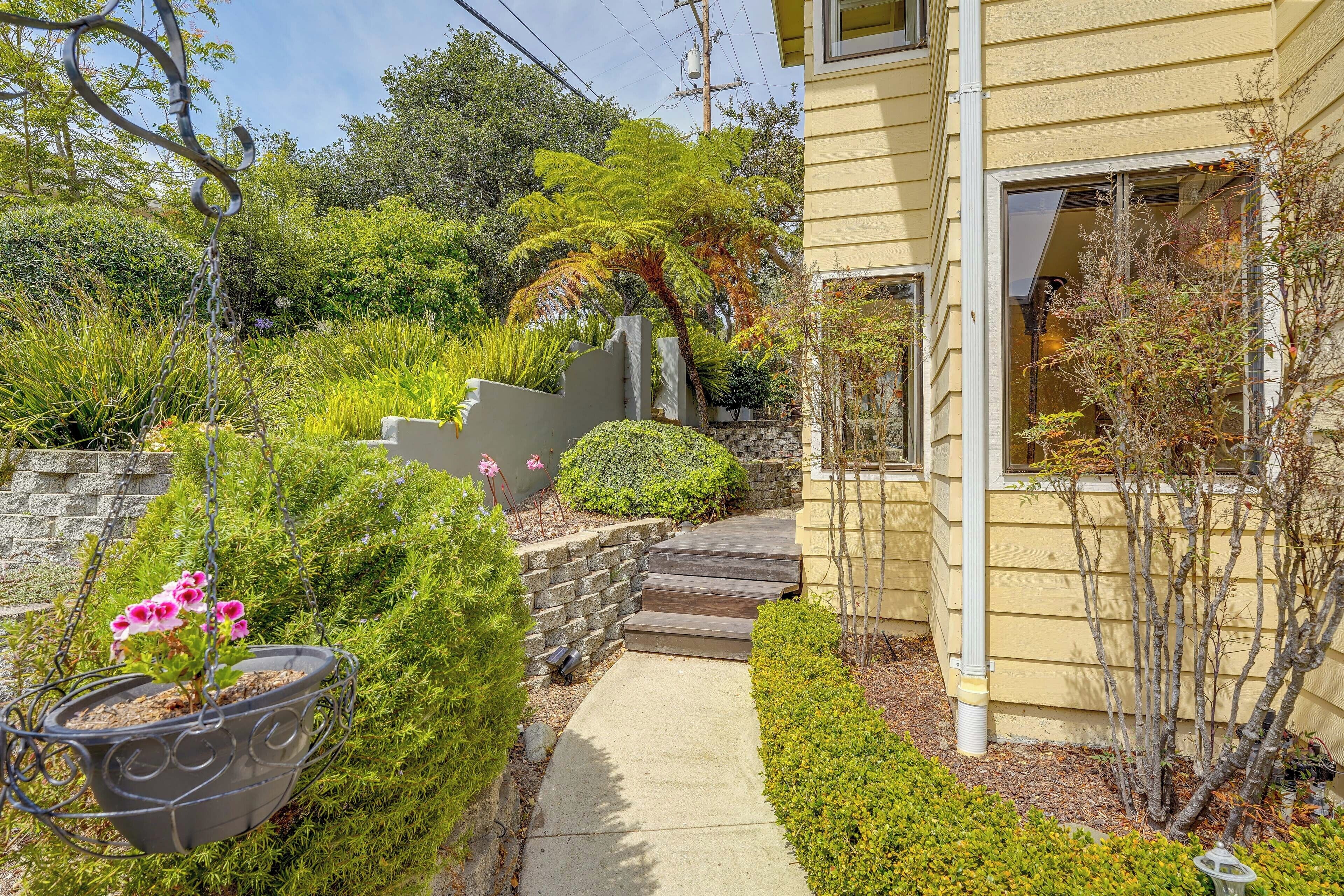 A residential property with a stone staircase, a pathway, and various plants.