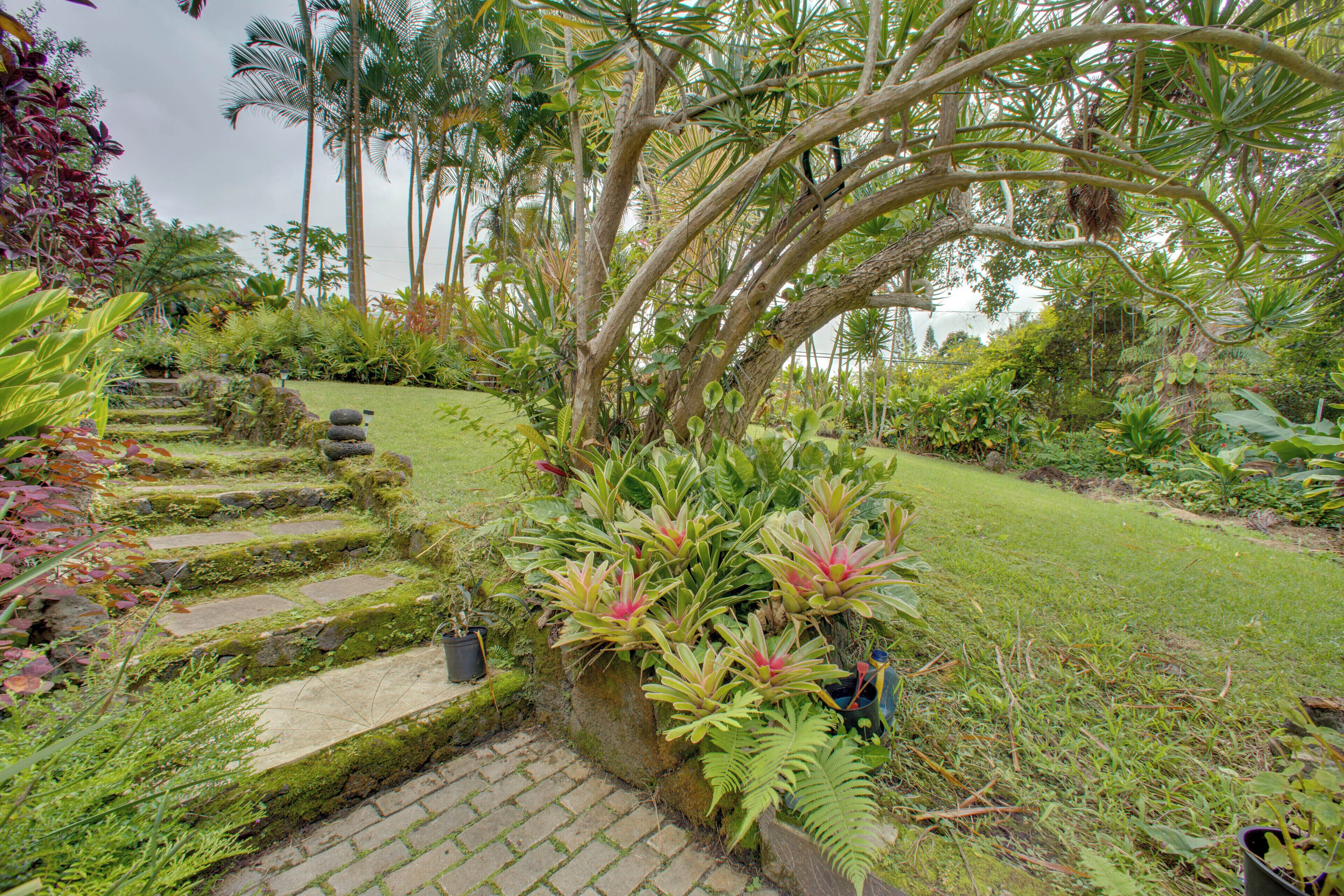 A garden with stone steps leading up to a grassy area, surrounded by various tropical plants and trees.