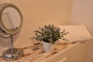 A bathroom with a mirror, a potted plant, and a towel on a shelf. - Holiday apartment with 1 bedroom (Ueckermünde)