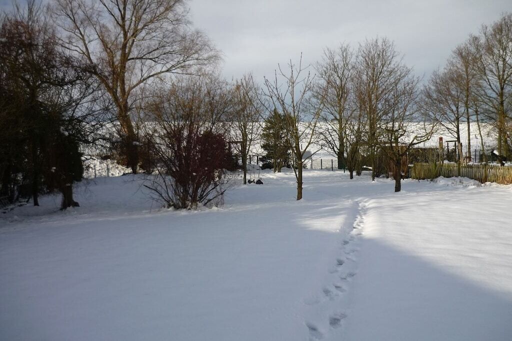 Paisatge cobert de neu amb arbres despullats i un cel clar.