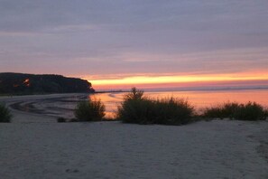 A beach with a curved shoreline, vegetation in the foreground, and a sunset over the water. - Holiday apartment with 1 bedroom (Elbinsel Krautsand)