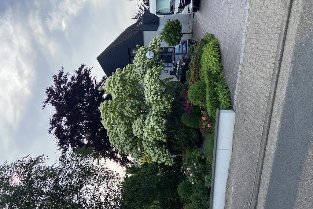 A residential area with a house, a driveway, and a well-maintained garden with various shrubs and a tree.
