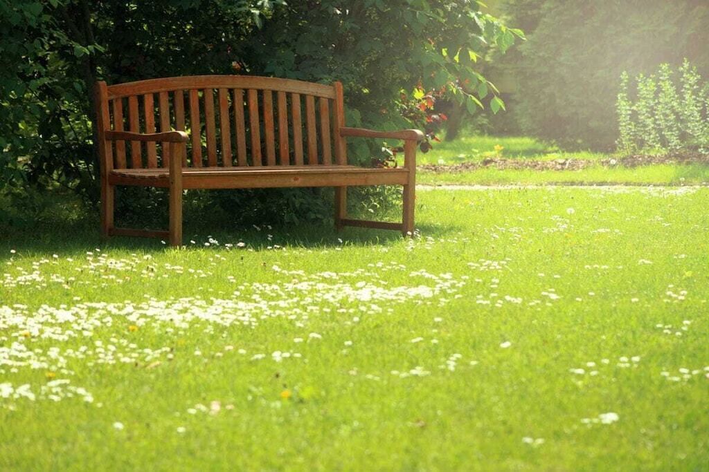 A wooden bench in a grassy area with a path and greenery in the background.