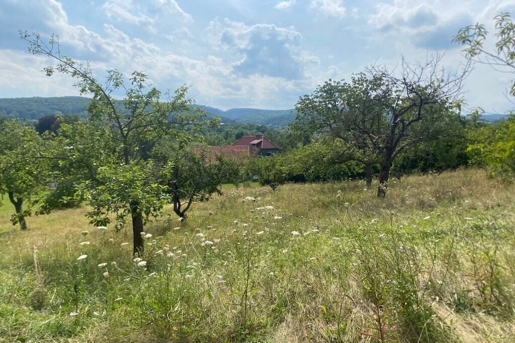A rural landscape with a house surrounded by trees and open fields.