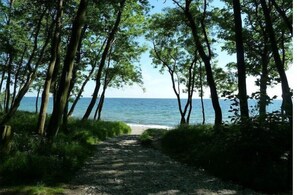 Beach - Holiday apartment with 1 bedroom (Fehmarn)