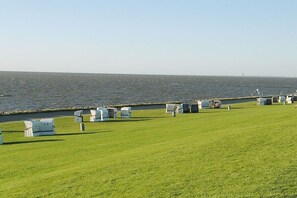A grassy area with rows of white tents, a body of water, and a distant structure. - Holiday home with 1 bedroom (Friedrichskoog)