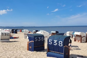Beach chairs with numbers 536 and 538 on a sandy beach. - Holiday home in Hooksiel with swimming pool (Hooksiel)