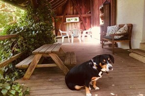 A wooden deck with a picnic table and chairs, a dog, and a bench with cushions. - Holiday home with 1 bedroom (Wutach- Münchingen)