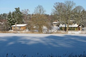 A snow-covered landscape with two houses, one with a visible chimney and another with a green roof, surrounded by trees and a clear sky. - Lakeside idyll Comthurey - Reed House (Wokuhl-Dabelow OT Comthurey)
