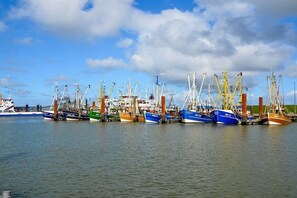 A harbor with multiple fishing boats docked, cranes, and a clear sky. - Holiday apartment with 2 bedrooms (Norden)