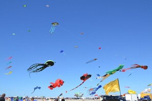 Ein klarer Himmel mit vielen Drachen in verschiedenen Formen und Größen.