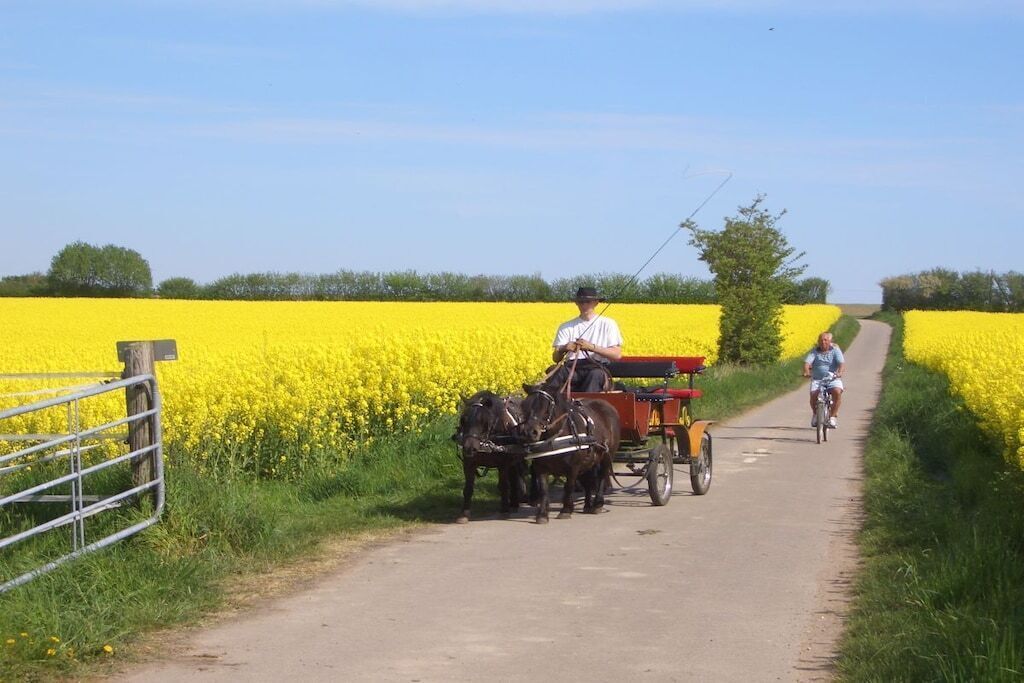 A rural path with a horse-drawn cart and a cyclist.