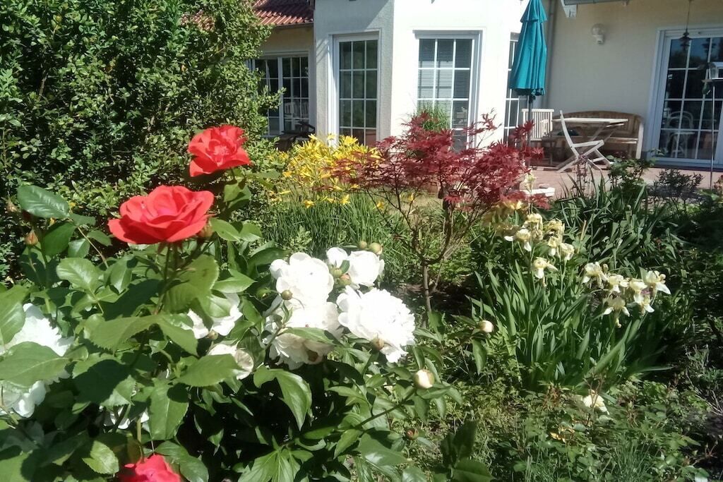 A garden with red and white flowers, a patio with outdoor furniture, and a building with windows and a door.