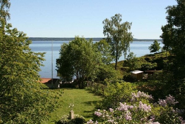Une zone herbeuse offrant une vue sur un lac, entourée d’arbres et d’arbustes.