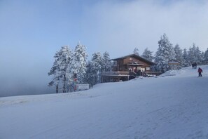Un chalet en bois doté d’une terrasse couverte, entouré d’arbres couverts de neige, par une journée ensoleillée.