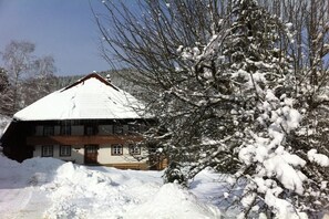 Exterior - Holiday apartment with 1 bedroom (Kleines Wiesental - Neuenweg)