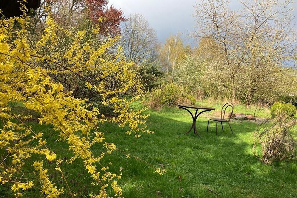 Un jardín con una mesa y sillas, rodeado de follaje y árboles.