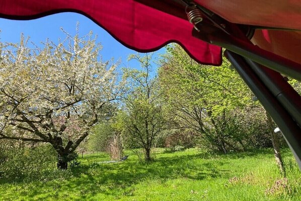A natural landscape with trees and grass. - Holiday Farm Smokehouse 3 (Wittendörp\/OT Karft)