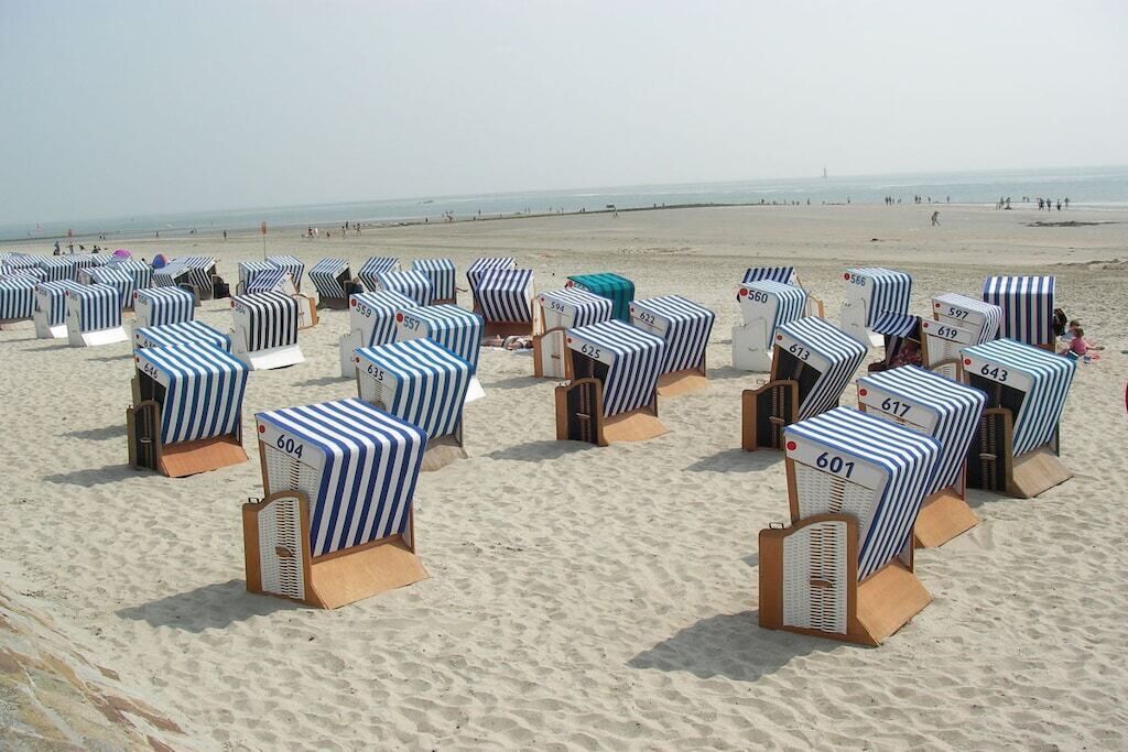 Beach chairs with numbers on them arranged on the sand.