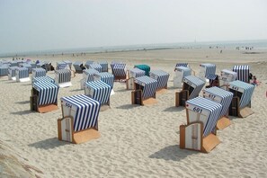Beach chairs with numbers on them arranged on the sand. - Holiday apartment with 1 bedroom (Norderney)