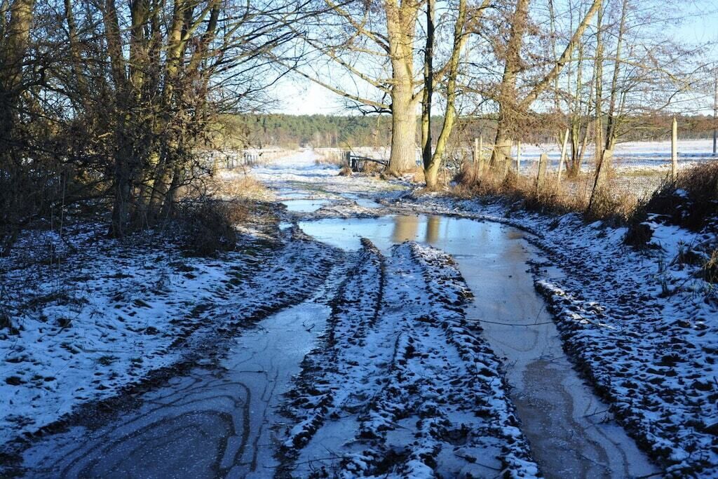 A snow-covered path with puddles, surrounded by leafless trees and a fence.