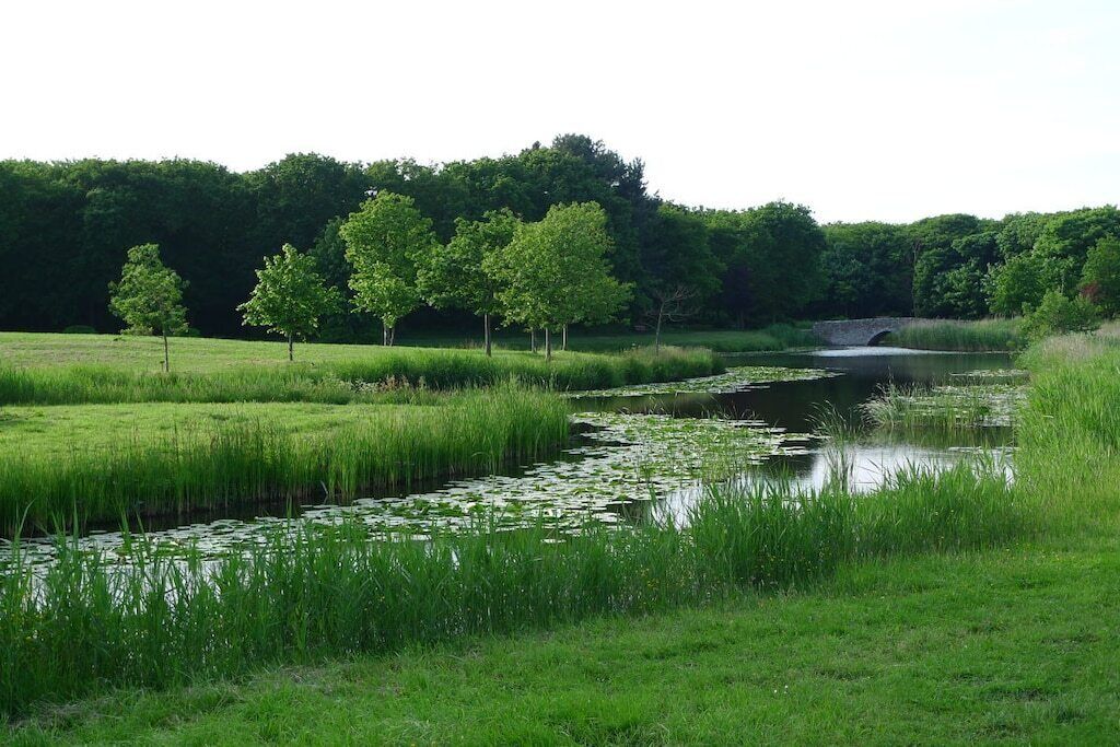 Eine natürliche Landschaft mit einem Fluss, Bäumen und einer Steinbrücke.