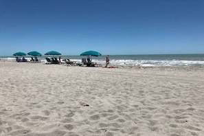 Ein Strand mit mehreren Liegestühlen und Sonnenschirmen.
