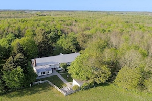 A house surrounded by dense forest with a clear sky.