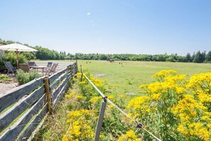 A fenced outdoor area with a table and chairs, a wooden fence, and a field with yellow flowers.