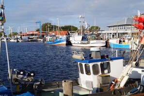 En småbåtshamn med förtöjda båtar, en byggnad med ett rött tak och en klar himmel.
